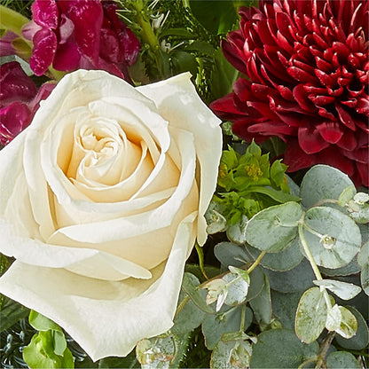 Cranberry Fizz Bouquet –  Sanford Floral Marketing, Sanford FL