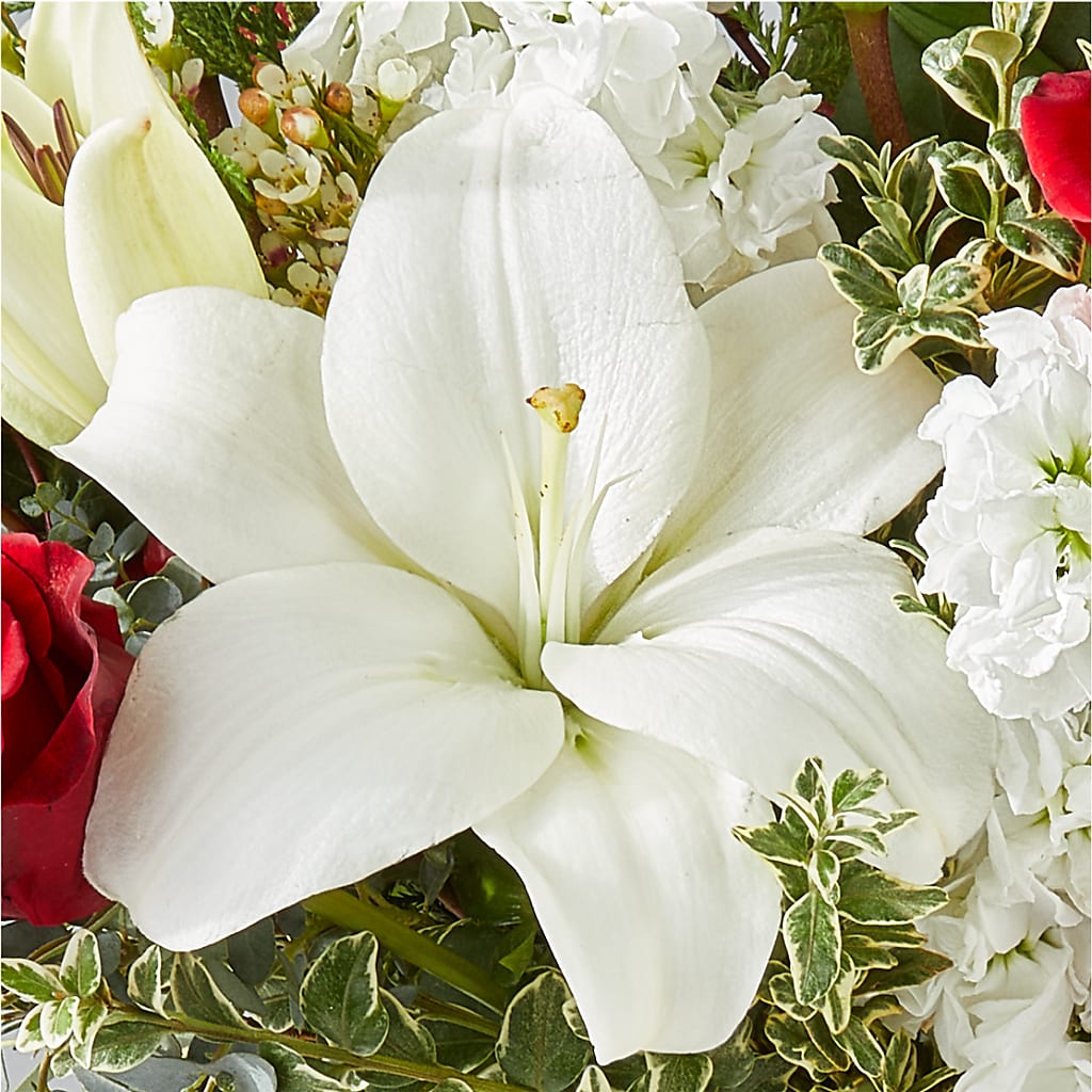 Twinkle Lights Bouquet –  Sanford Floral Marketing, Sanford FL