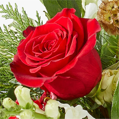 Deck the Halls Bouquet –  Sanford Floral Marketing, Sanford FL