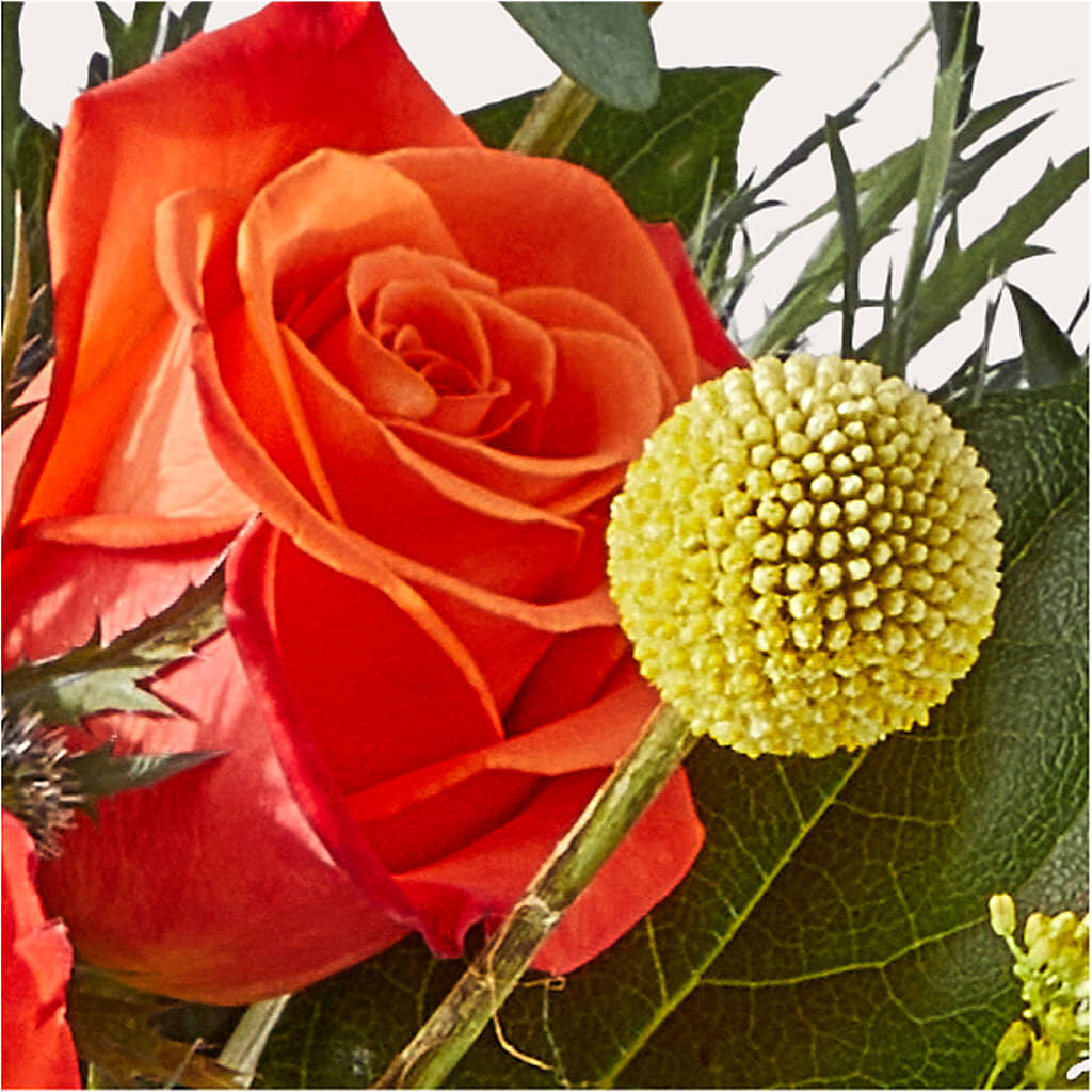 Disco Bouquet –  Sanford Floral Marketing, Sanford FL