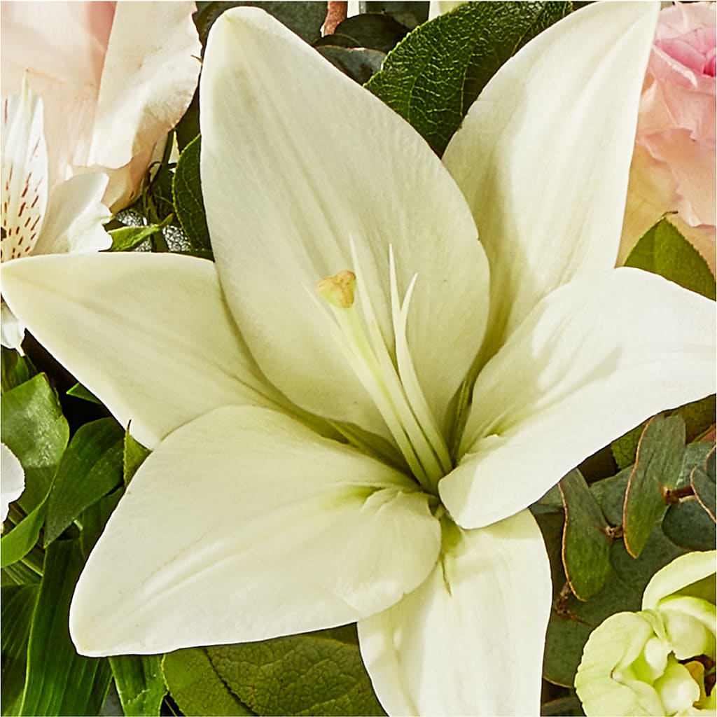 Ballet Slippers Bouquet –  Sanford Floral Marketing, Sanford FL