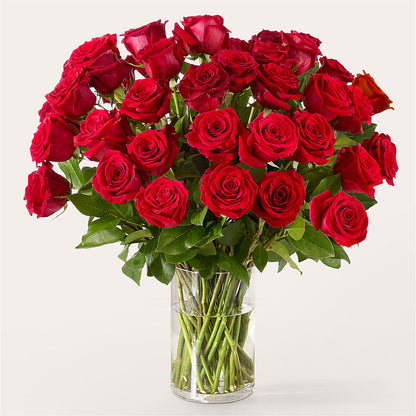The One Red Rose Bouquet –  Sanford Floral Marketing, Sanford FL