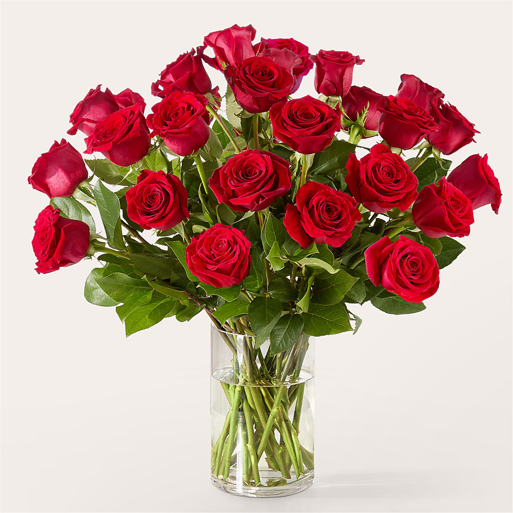 The One Red Rose Bouquet –  Sanford Floral Marketing, Sanford FL