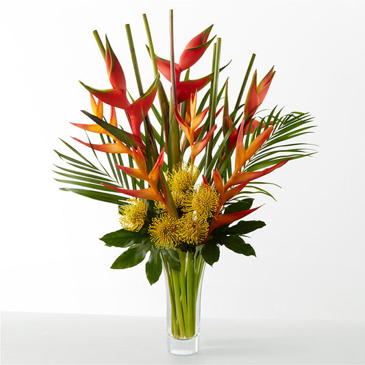 The Drama –  Sanford Floral Marketing, Sanford FL