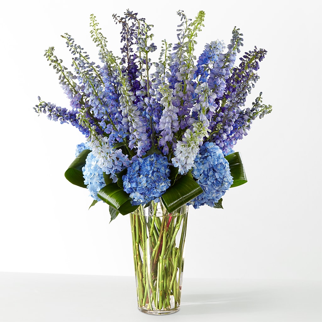 The Editorial –  Sanford Floral Marketing, Sanford FL