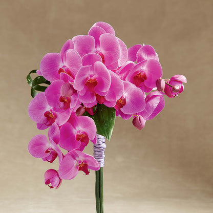 Glorious Bouquet –  Sanford Floral Marketing, Sanford FL