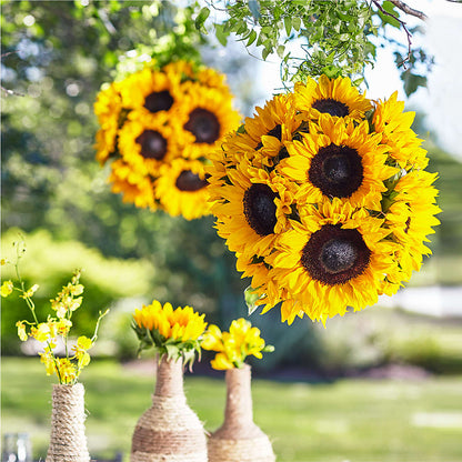 Sublime Garden Hanging Arrangement –  Sanford Floral Marketing, Sanford FL