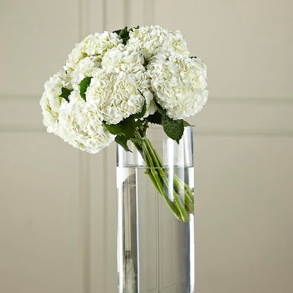 White Hydrangea Hand-Tied Bouquet –  Sanford Floral Marketing, Sanford FL