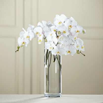 White Phalaenopsis Bouquet –  Sanford Floral Marketing, Sanford FL