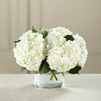 White Hydrangea Bouquet –  Sanford Floral Marketing, Sanford FL